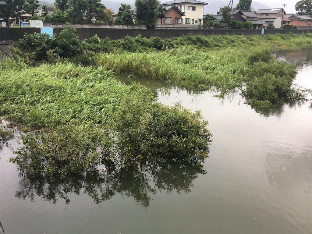 f:id:KFG:20180908085030j:image