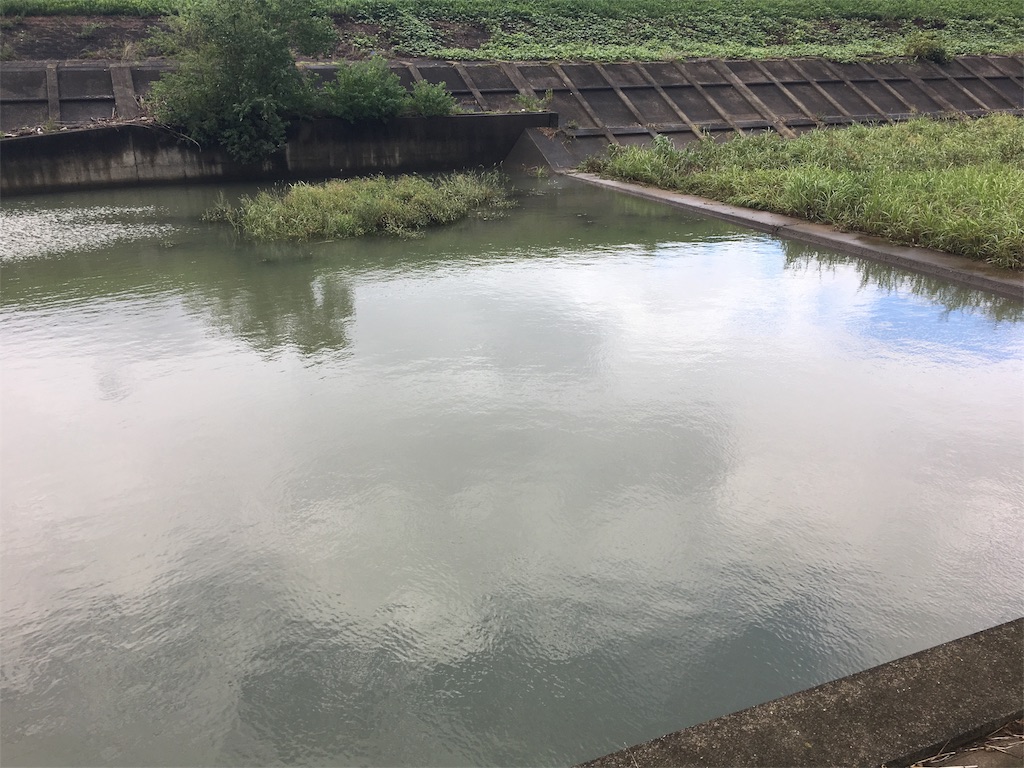 f:id:KFG:20180908094733j:image