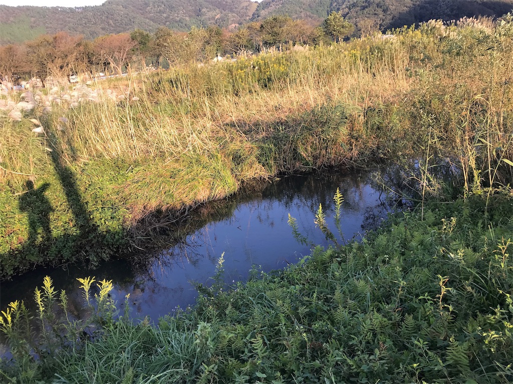 f:id:KFG:20181009172929j:image