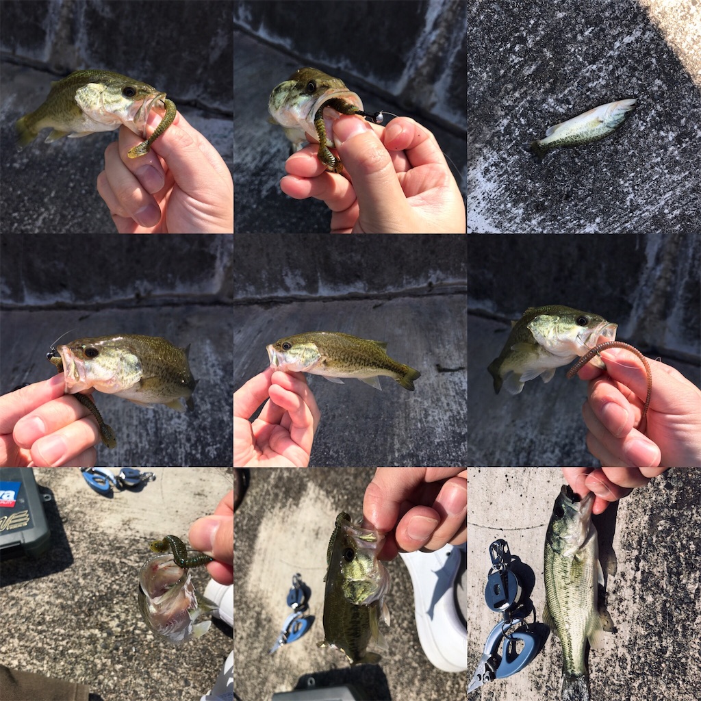 f:id:KFG:20181009173020j:image