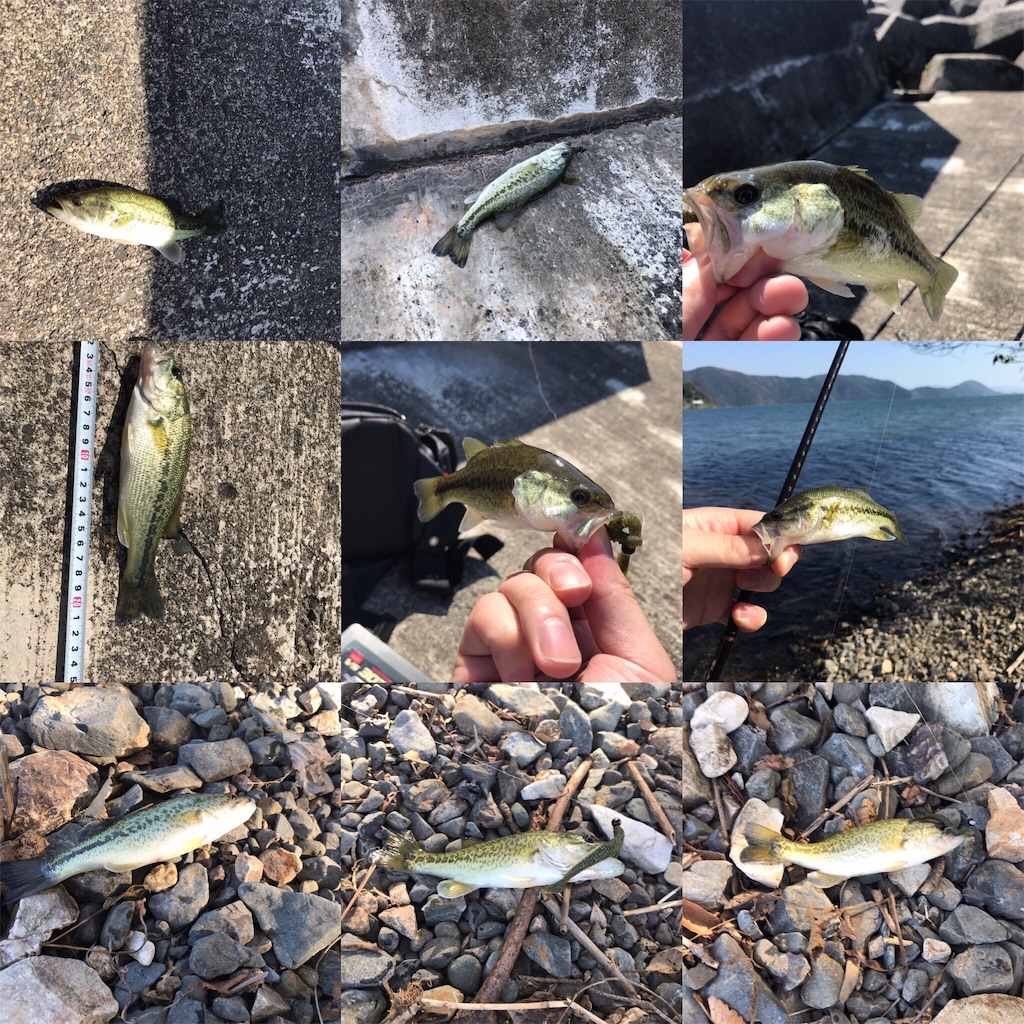 f:id:KFG:20181009173026j:image