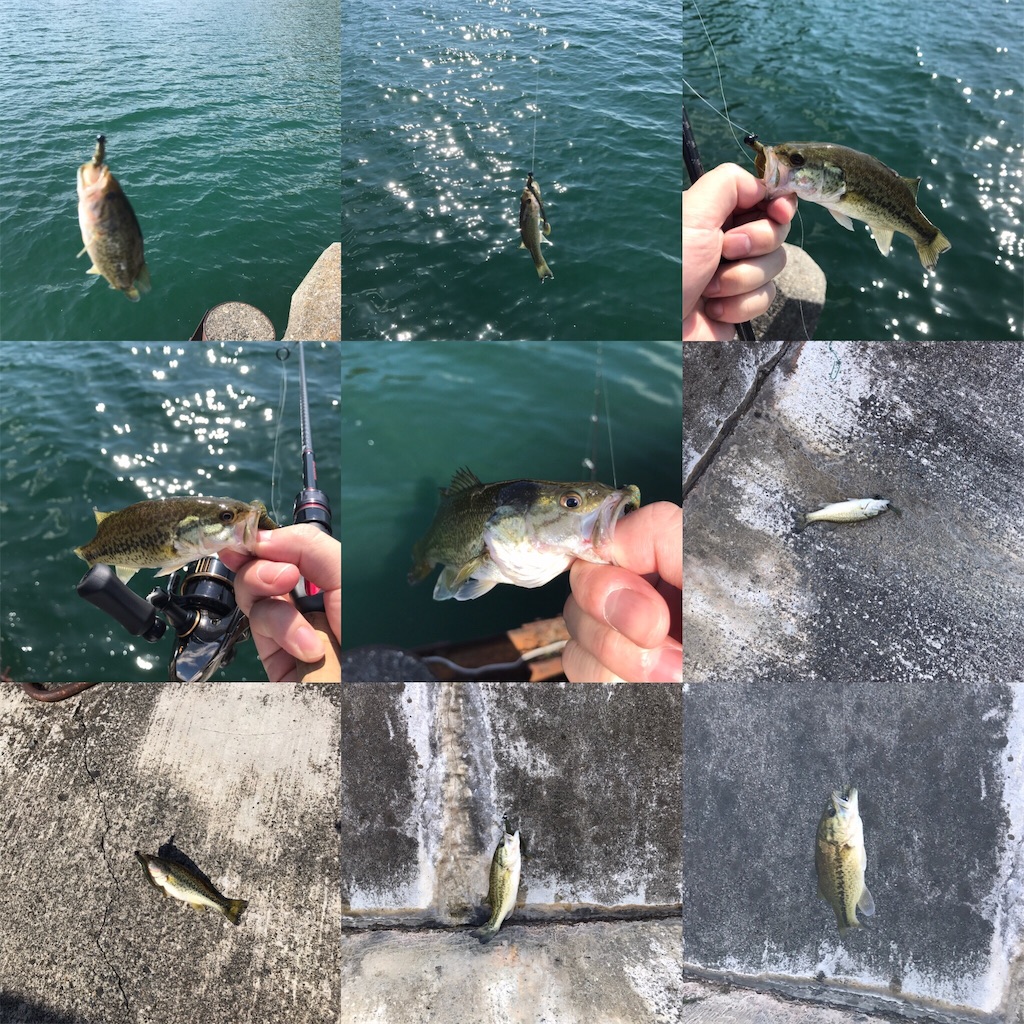 f:id:KFG:20181009173031j:image