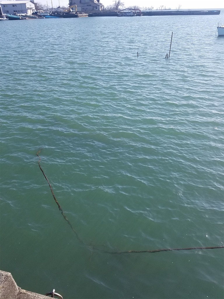 f:id:KFG:20190206191002j:image