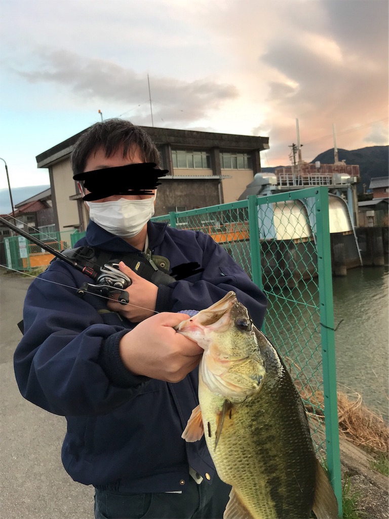 f:id:KFG:20190304192912j:image f:id:KFG:20190304192912j:image