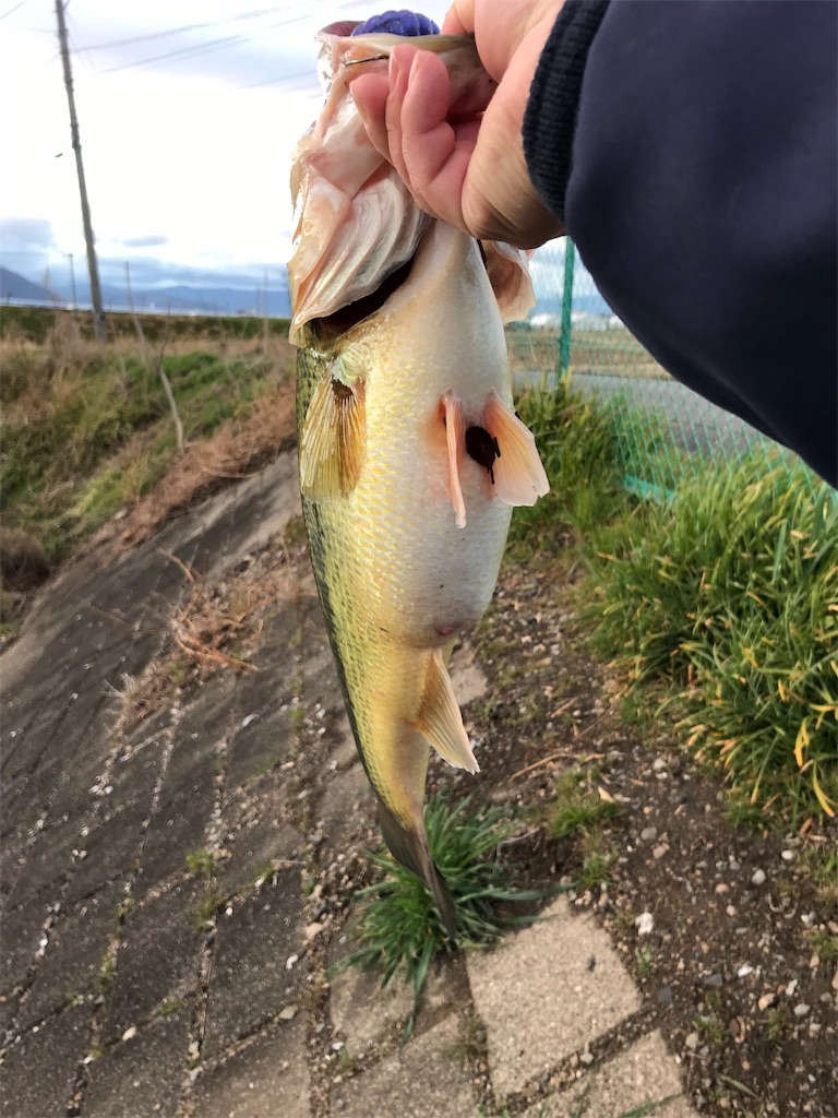 f:id:KFG:20190304192919j:image f:id:KFG:20190304192919j:image