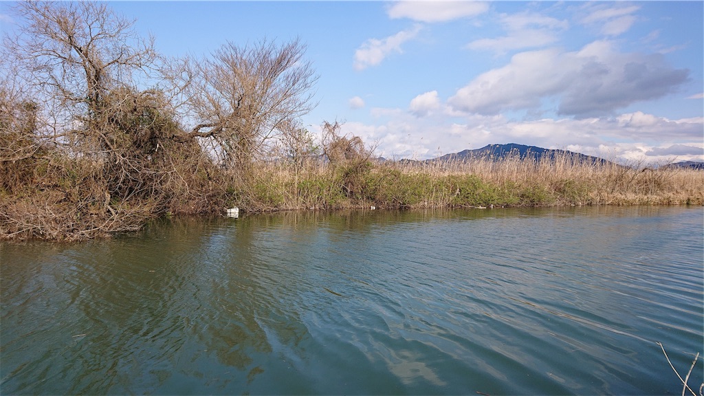 f:id:KFG:20190316222703j:image f:id:KFG:20190316222703j:image