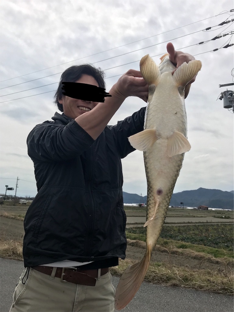 f:id:KFG:20190319205307j:image f:id:KFG:20190319205307j:image