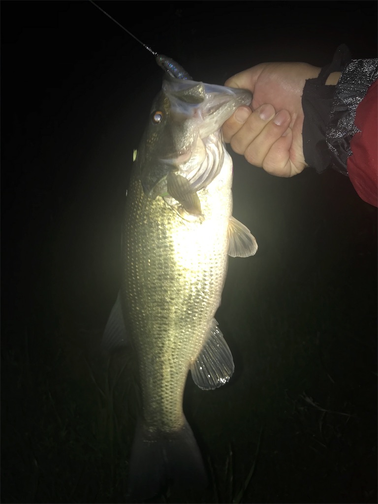 f:id:KFG:20190419232912j:image