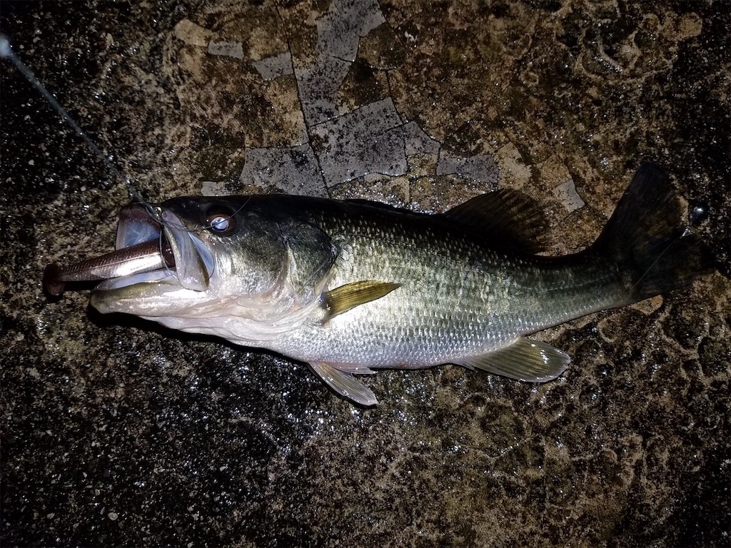 f:id:KFG:20190423233138j:image