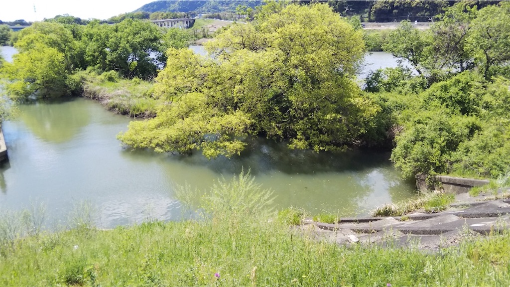 f:id:KFG:20190428061648j:image