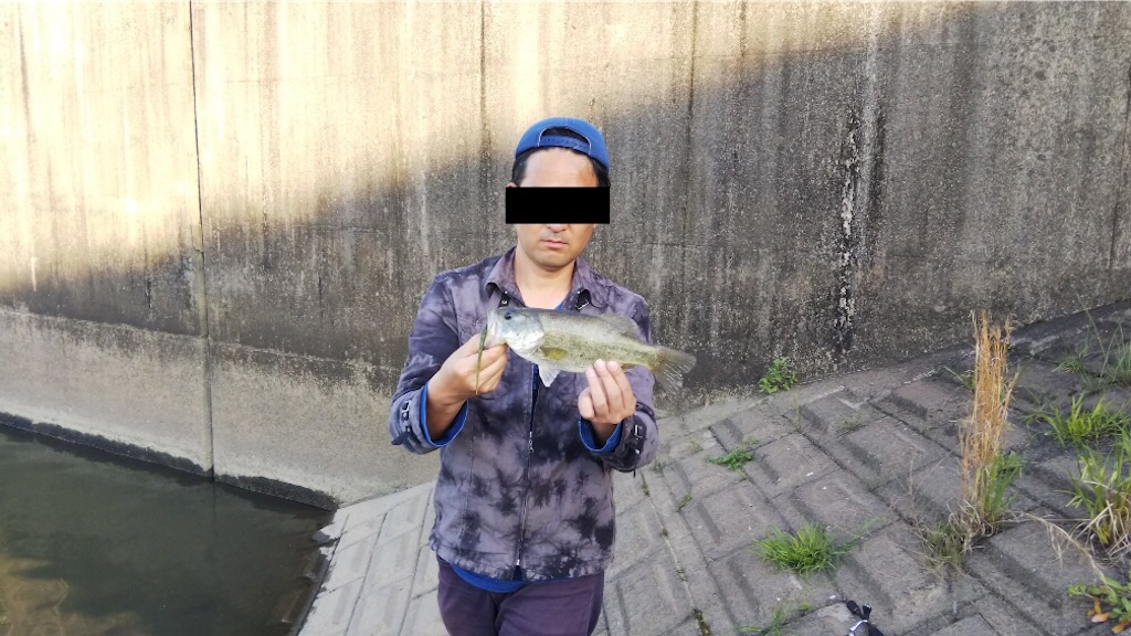 f:id:KFG:20190505135517j:image