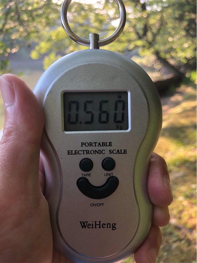 f:id:KFG:20190510220553j:image