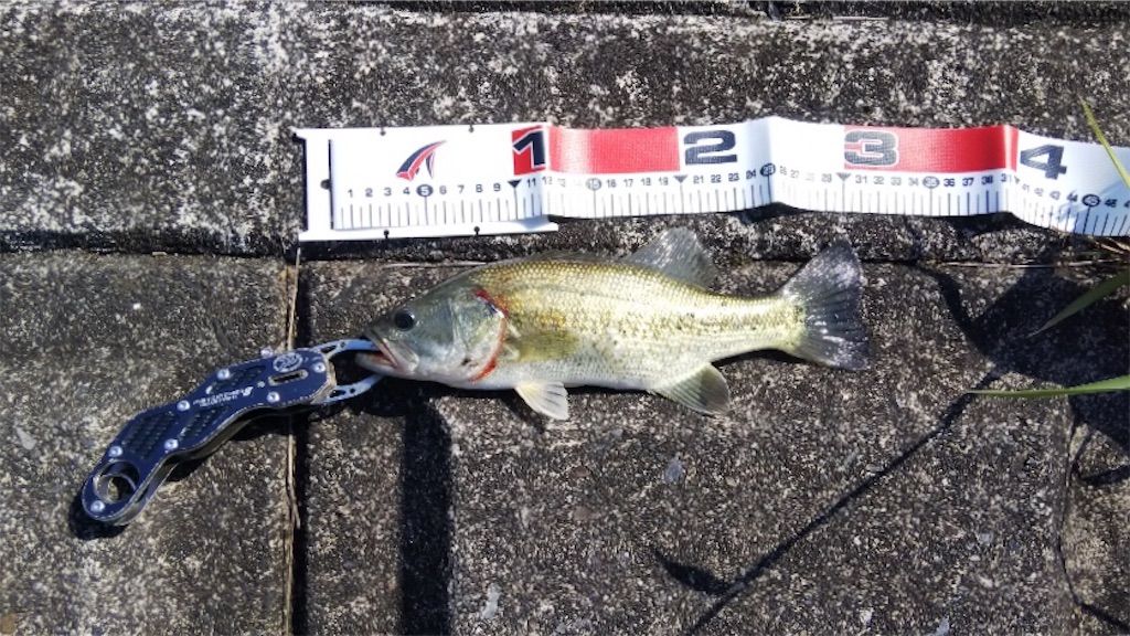 f:id:KFG:20190512120048j:image f:id:KFG:20190512120048j:image