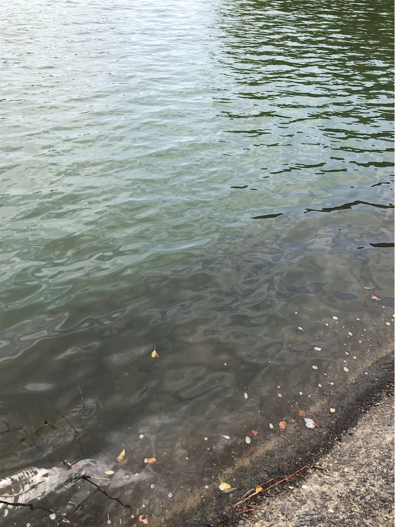 f:id:KFG:20190515204659j:image