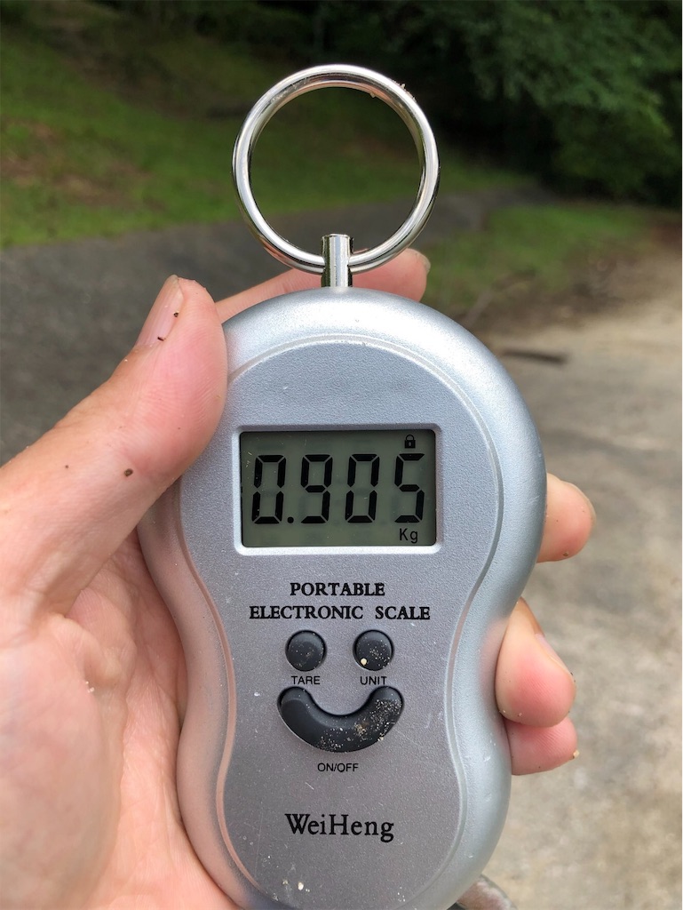 f:id:KFG:20190515204709j:image