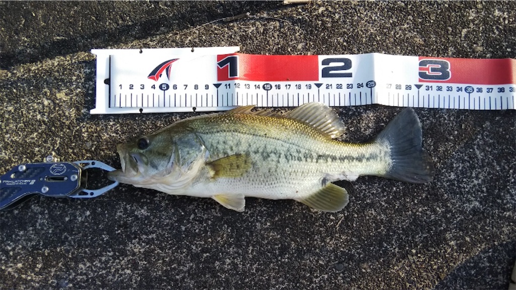 f:id:KFG:20190525220220j:image