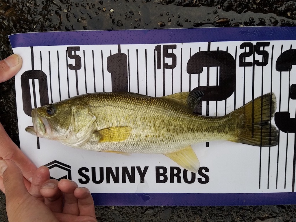 f:id:KFG:20190529120619j:image f:id:KFG:20190529120619j:image