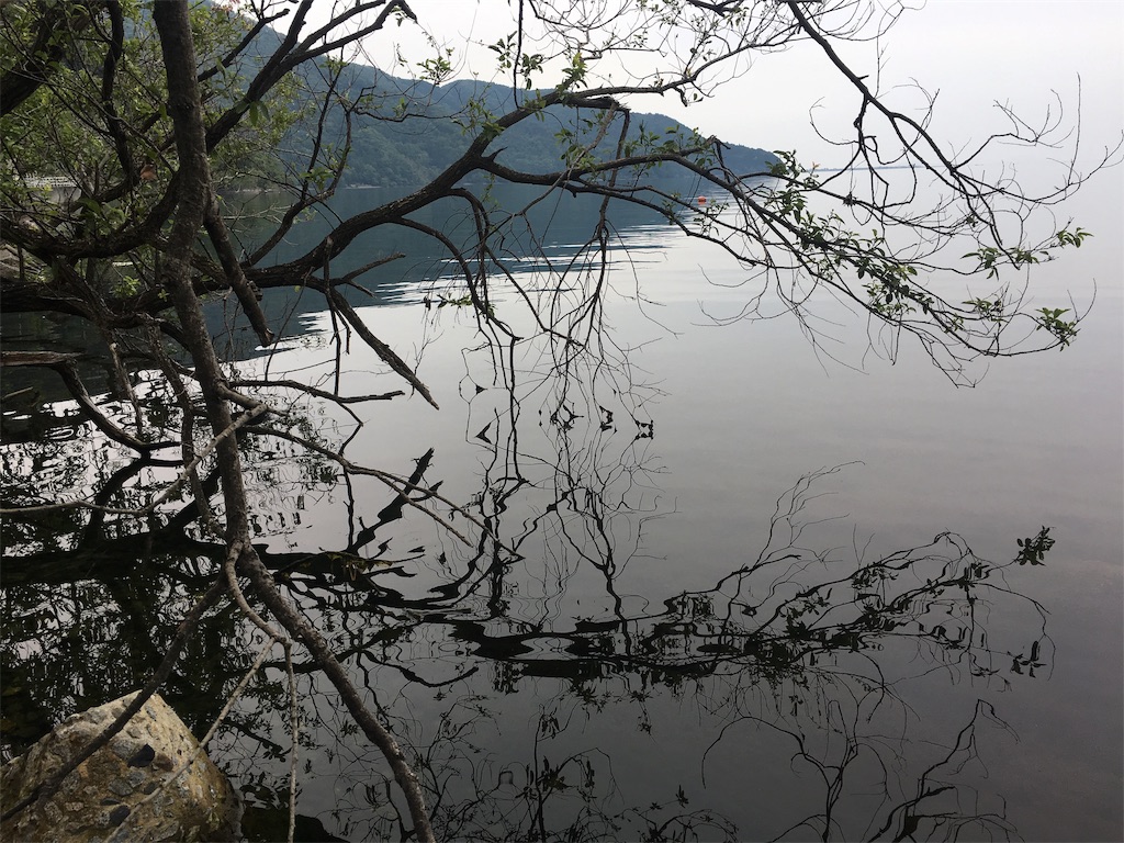 f:id:KFG:20190602104439j:image