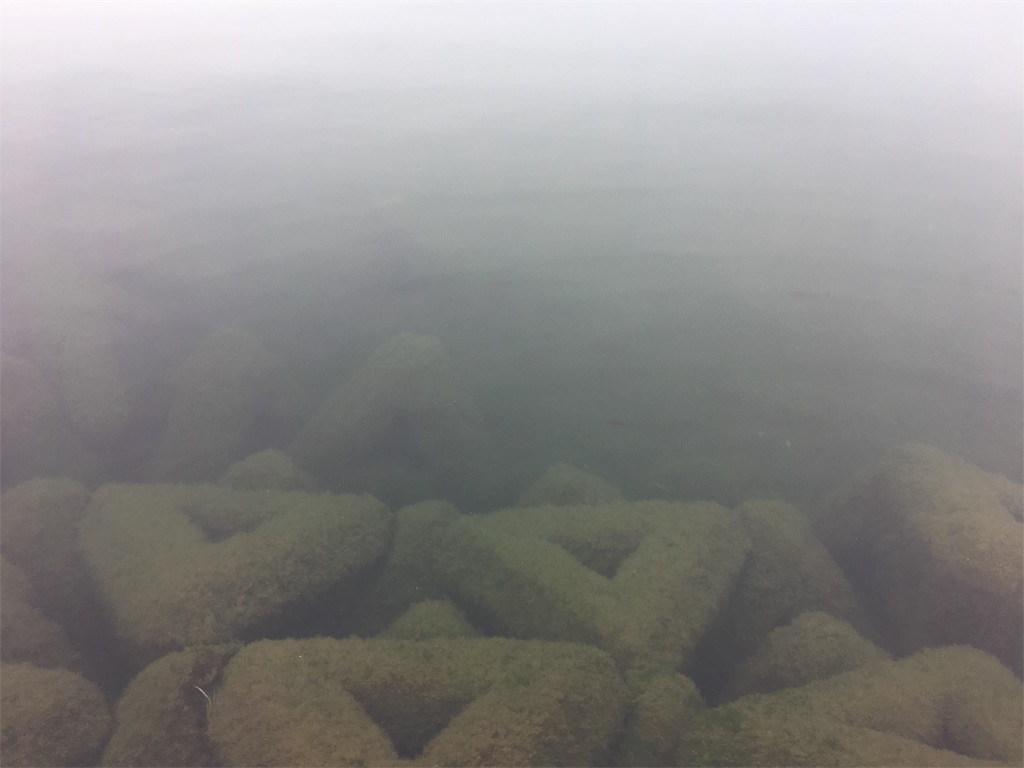 f:id:KFG:20190602104442j:image