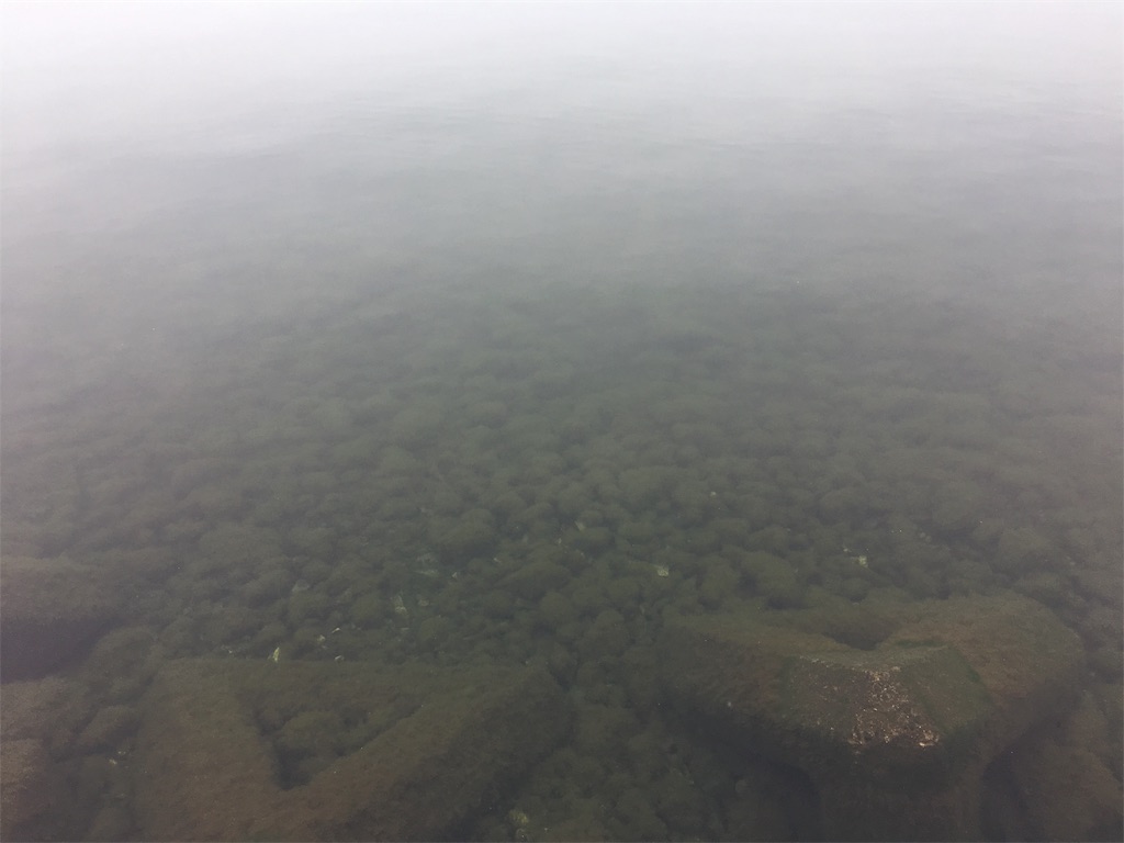 f:id:KFG:20190602104447j:image