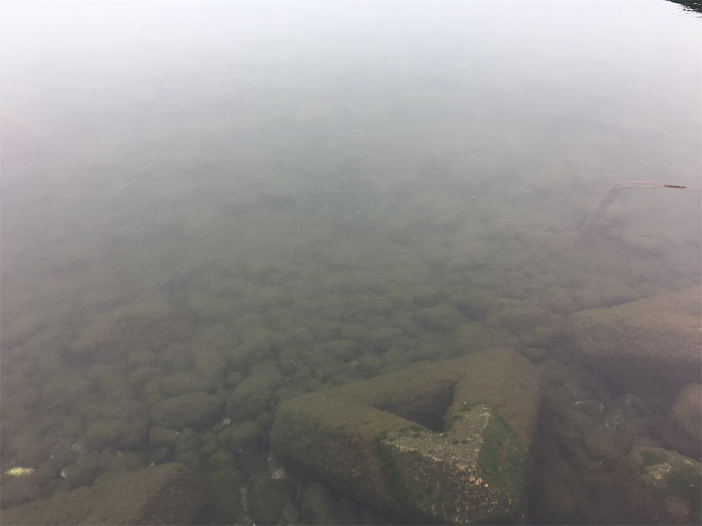 f:id:KFG:20190602104450j:image
