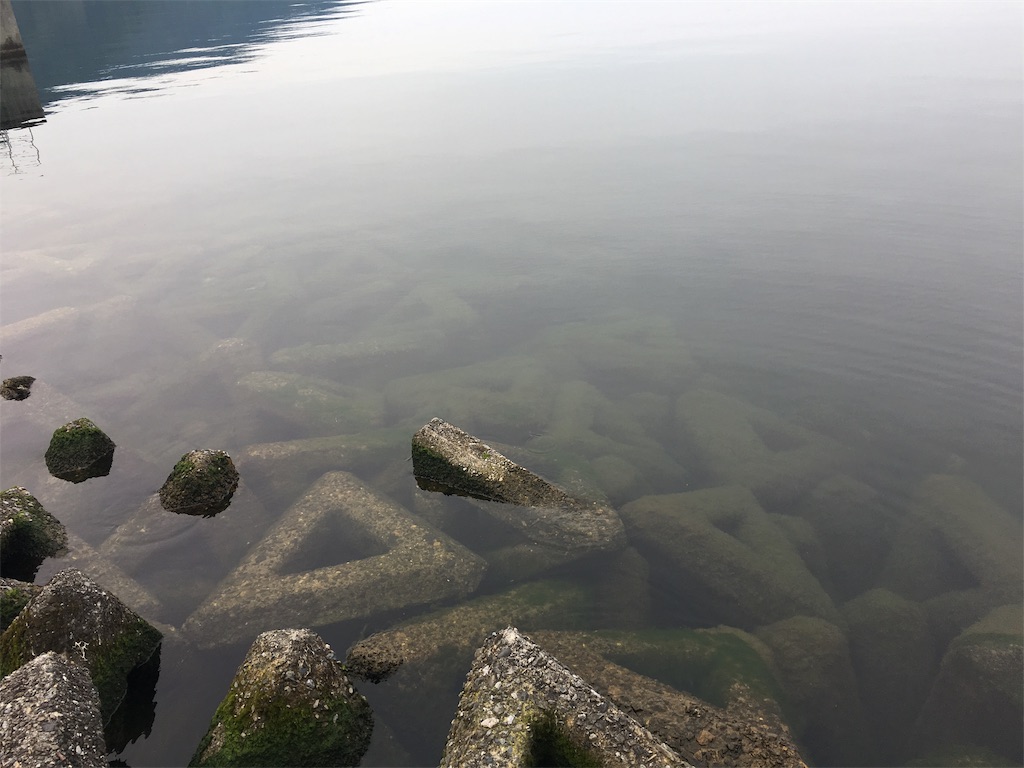 f:id:KFG:20190602104455j:image