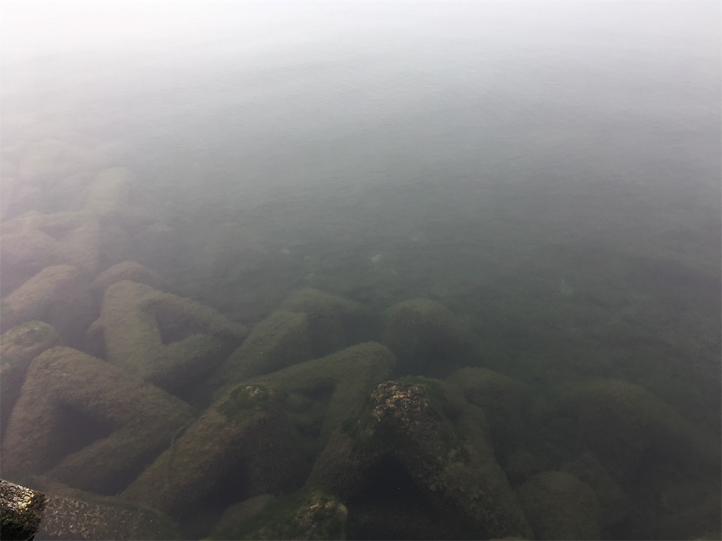 f:id:KFG:20190602104511j:image