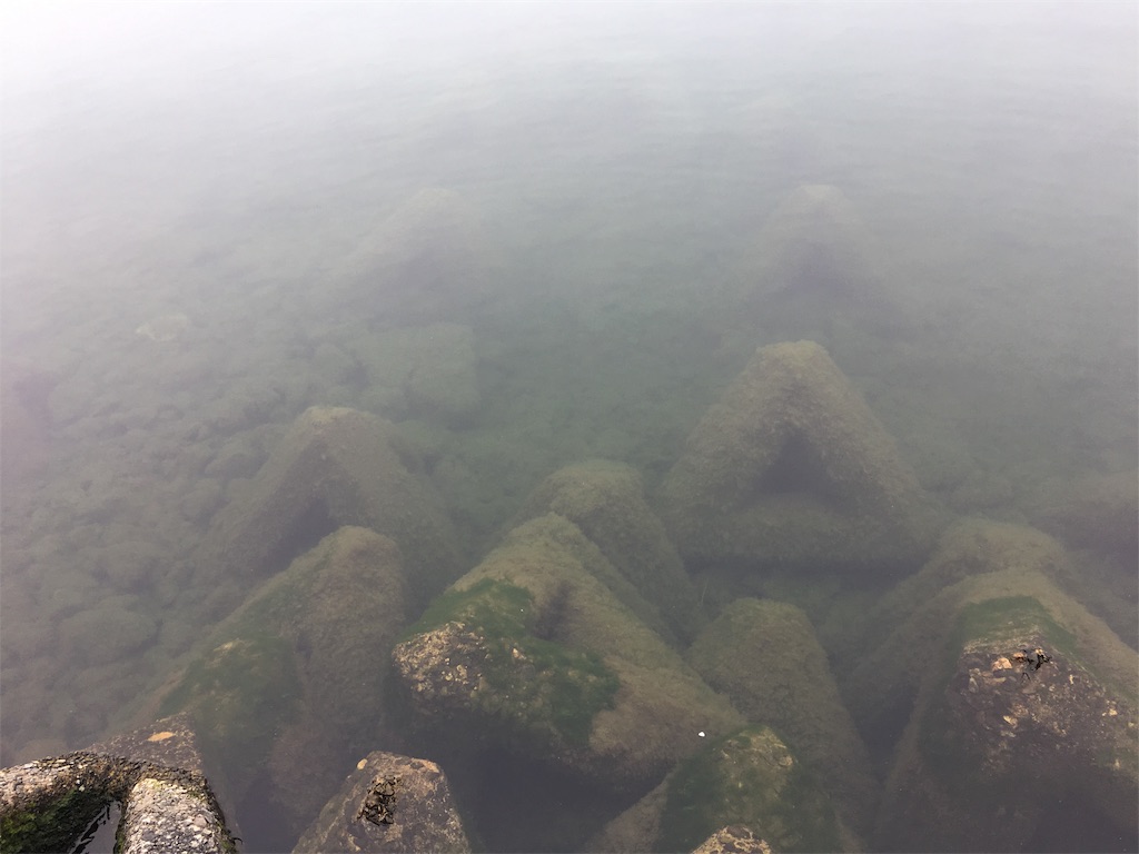 f:id:KFG:20190602104527j:image