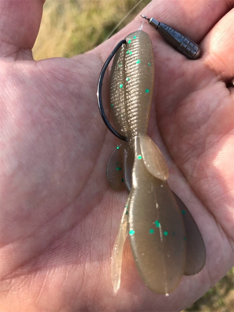 f:id:KFG:20190612224950j:image