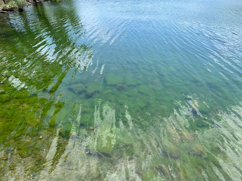 f:id:KFG:20190625122519j:image