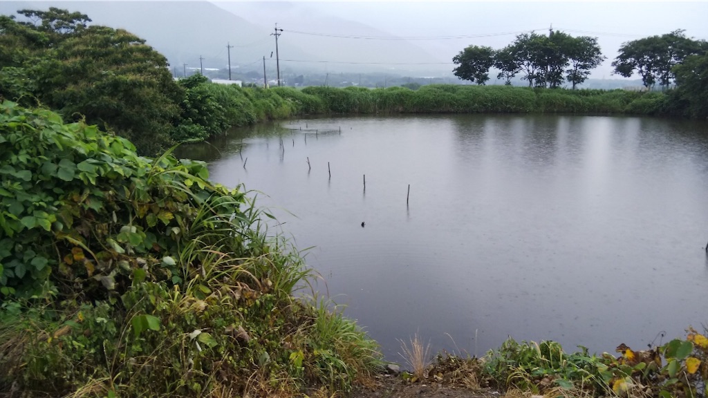 f:id:KFG:20190703221915j:image