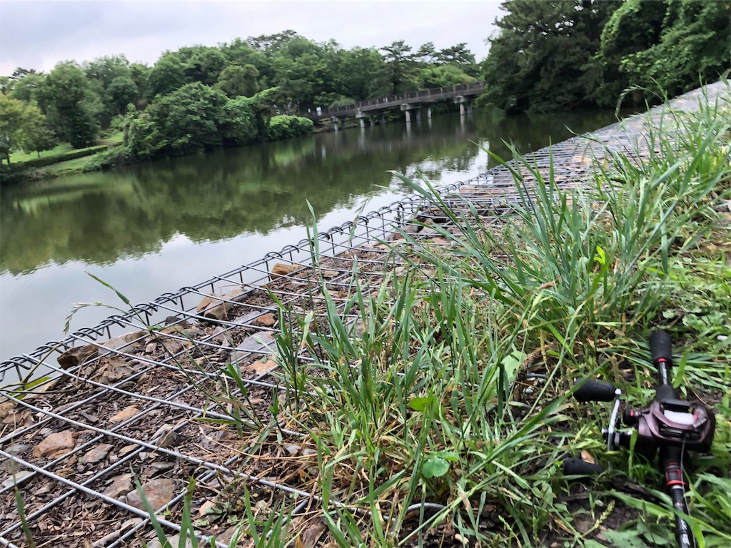 f:id:KFG:20190705215832j:image
