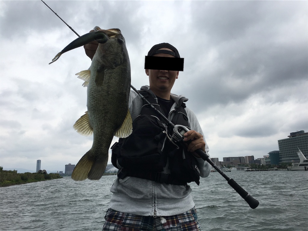 f:id:KFG:20190706112139j:image