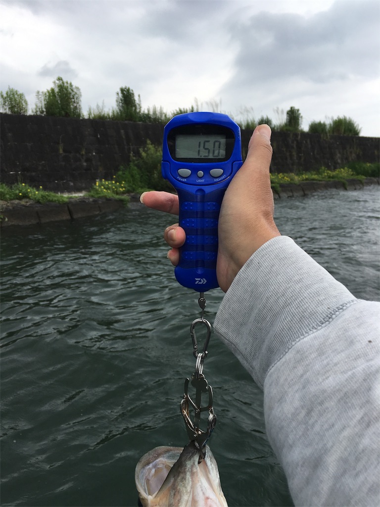 f:id:KFG:20190706112151j:image