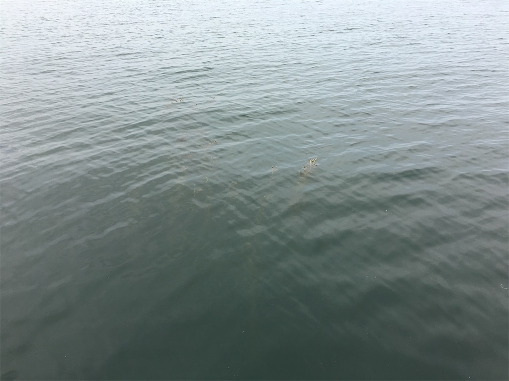 f:id:KFG:20190706112205j:image