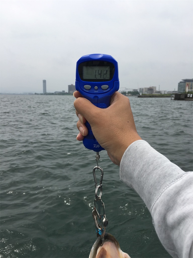 f:id:KFG:20190706112225j:image