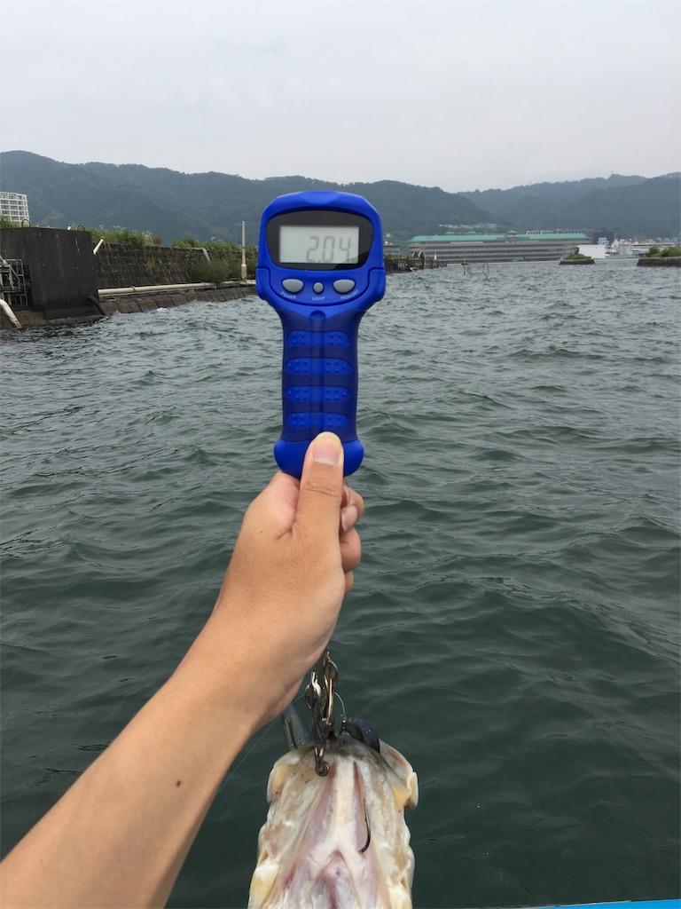 f:id:KFG:20190706112243j:image