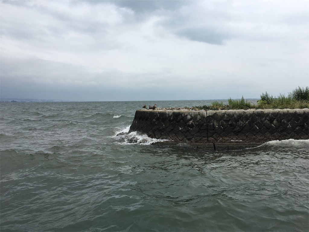 f:id:KFG:20190706112323j:image