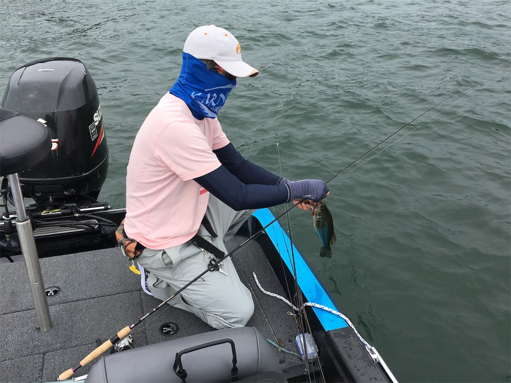 f:id:KFG:20190706112332j:image
