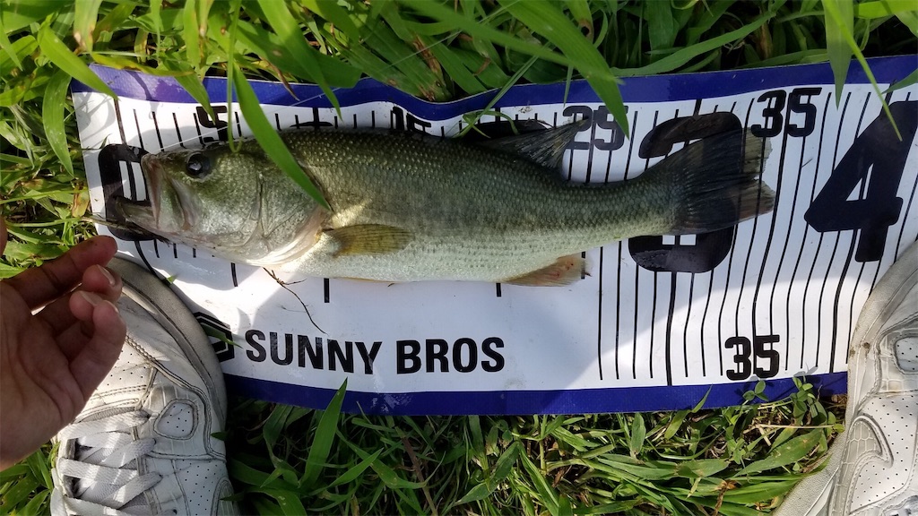 f:id:KFG:20190724063800j:image