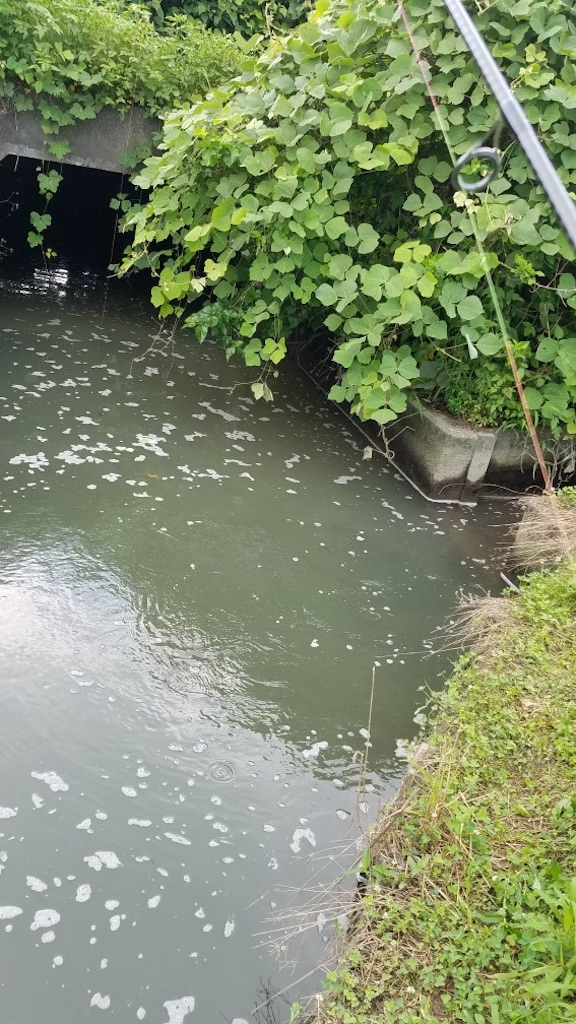 f:id:KFG:20190724063823j:image