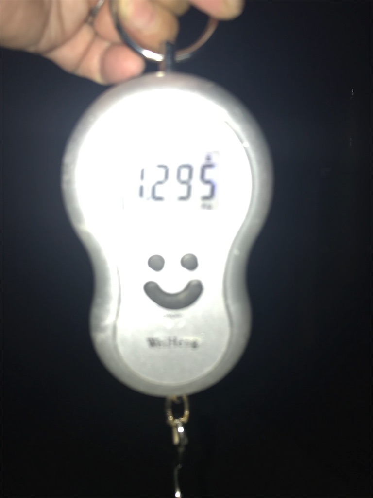 f:id:KFG:20190801230535j:image