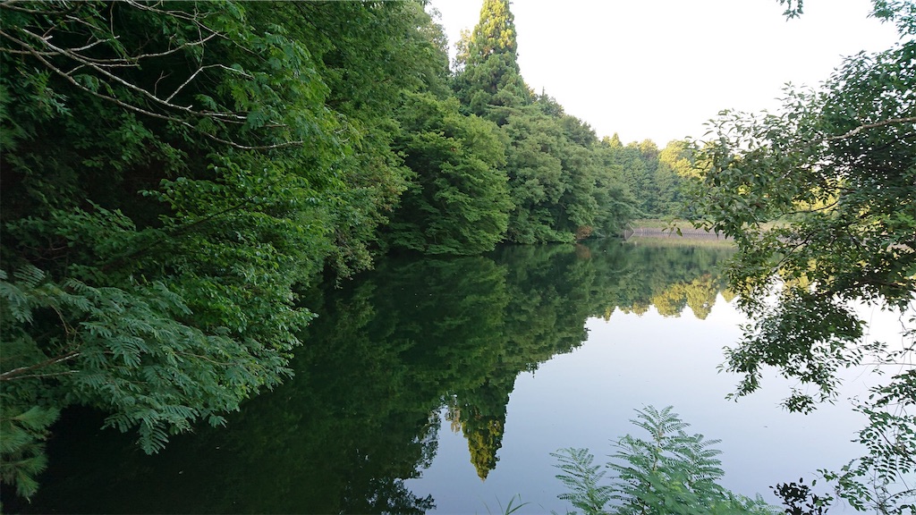 f:id:KFG:20190810220143j:image