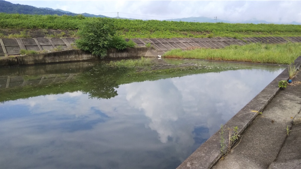 f:id:KFG:20190901120043j:image