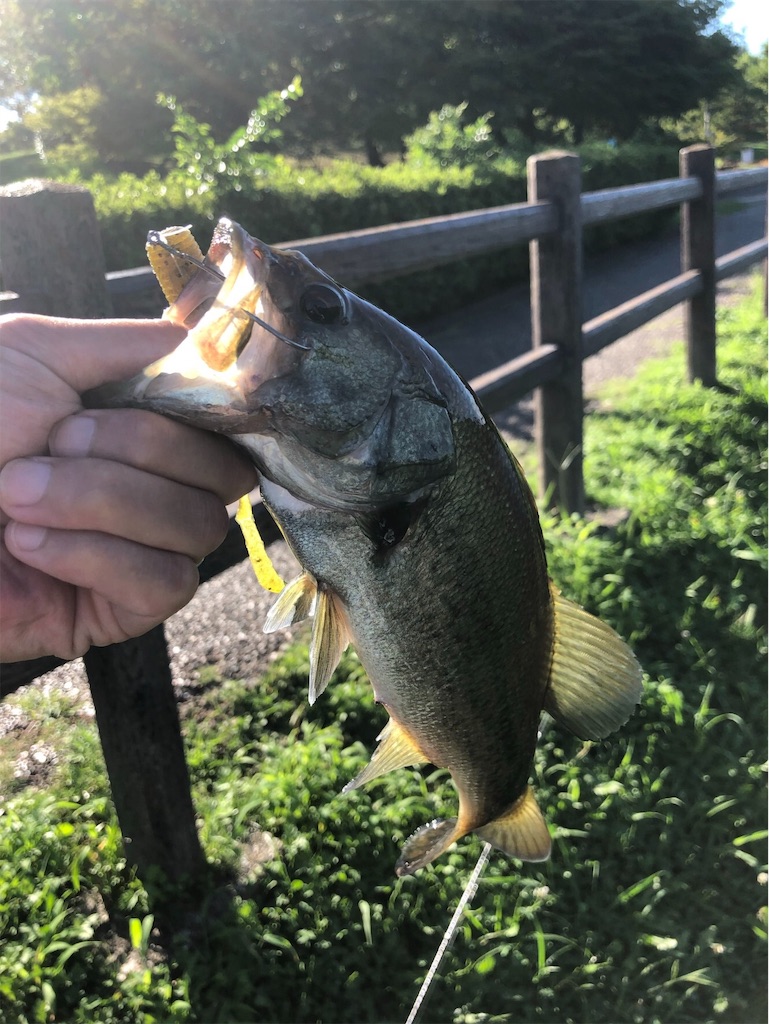 f:id:KFG:20190907195227j:image