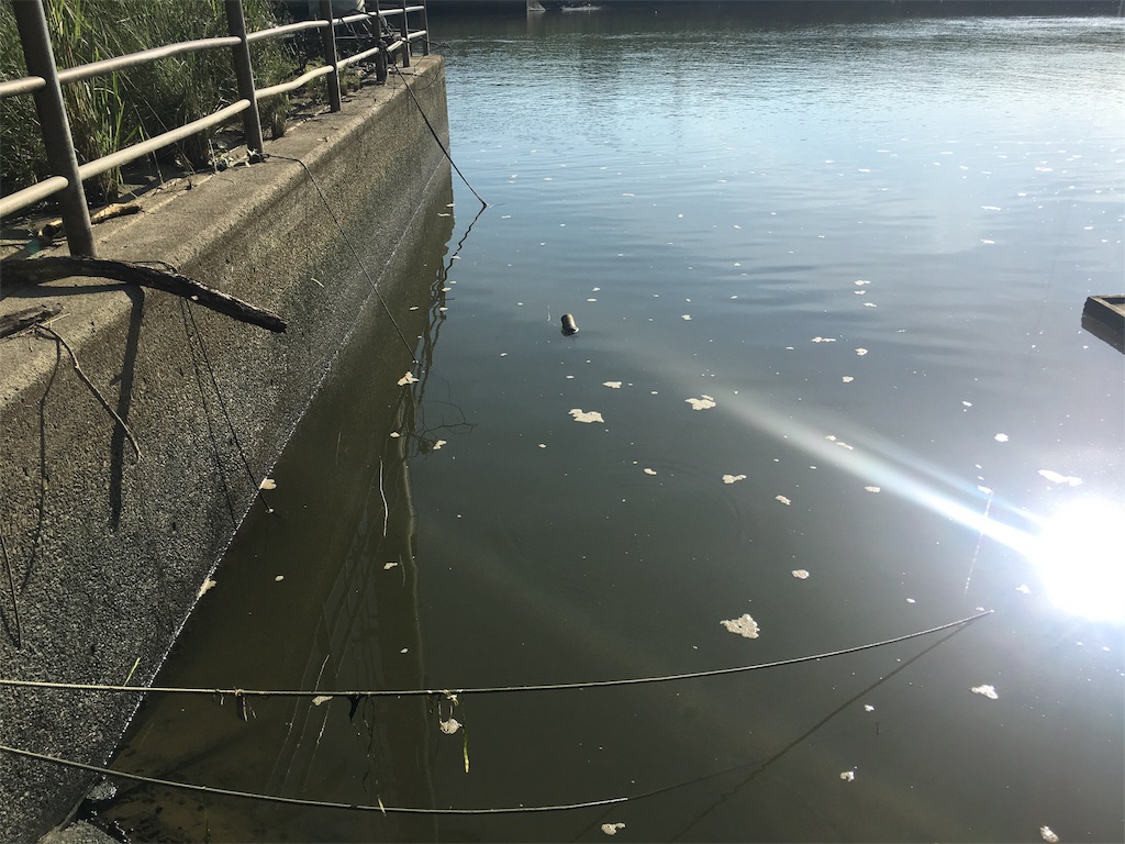 f:id:KFG:20190908093709j:image f:id:KFG:20190908093709j:image