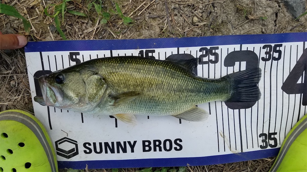 f:id:KFG:20190911123720j:image