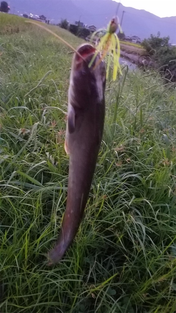 f:id:KFG:20190911123727j:image