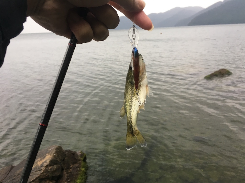 f:id:KFG:20190921094725j:image