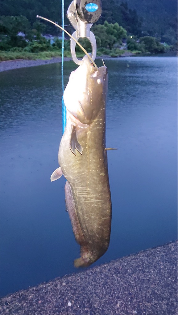 f:id:KFG:20190921153513j:image